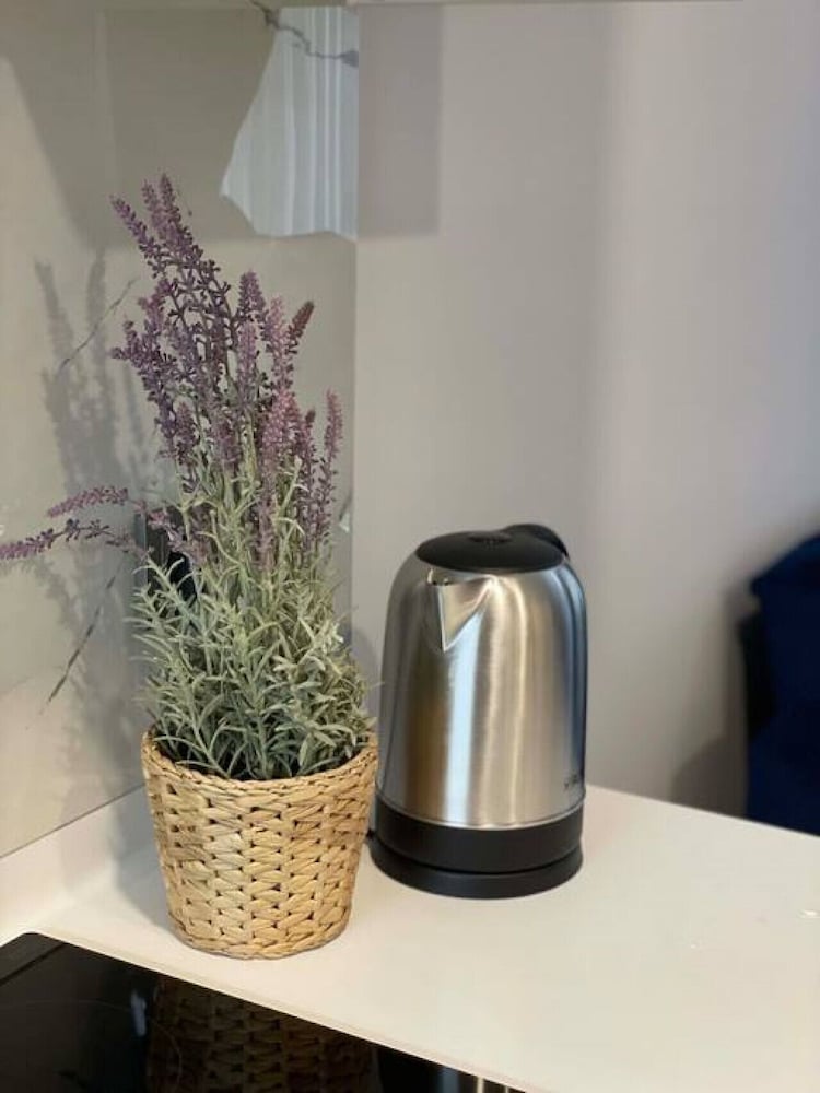 Lovely 1-bedroom Suite Apartment Near Mall of Istanbul