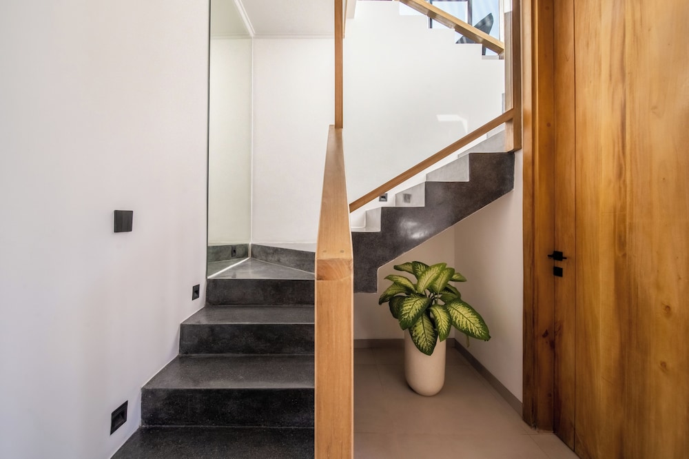Photo 309