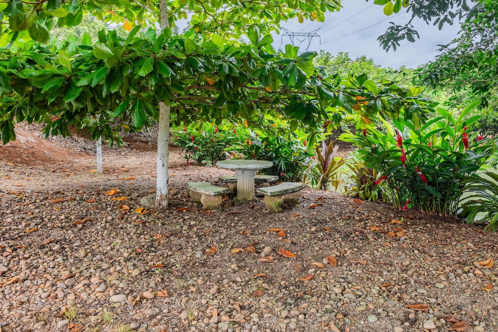 Nayari Frog Farmstay Villa La Fortuna