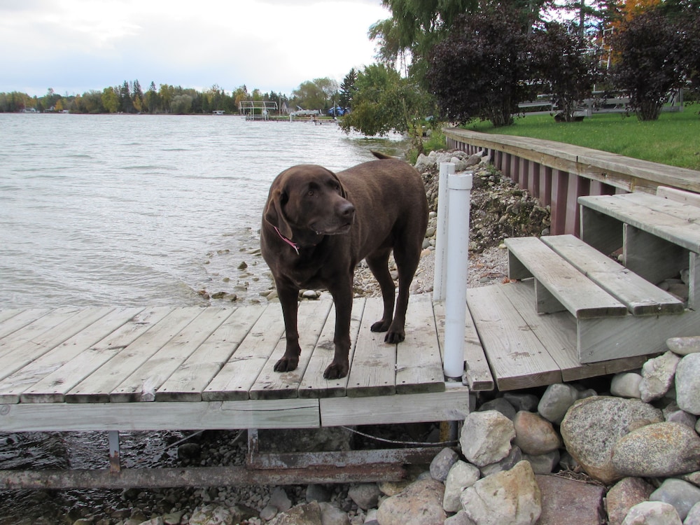 Grand Lake Resort - Property Image 11