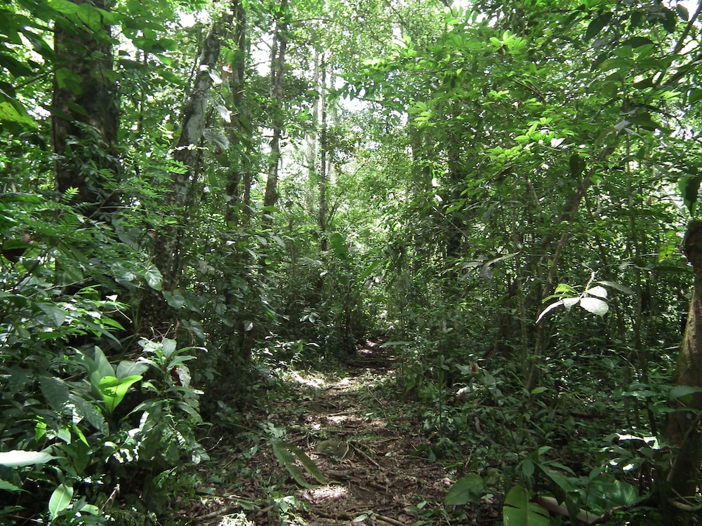 Hotel Valle Azul