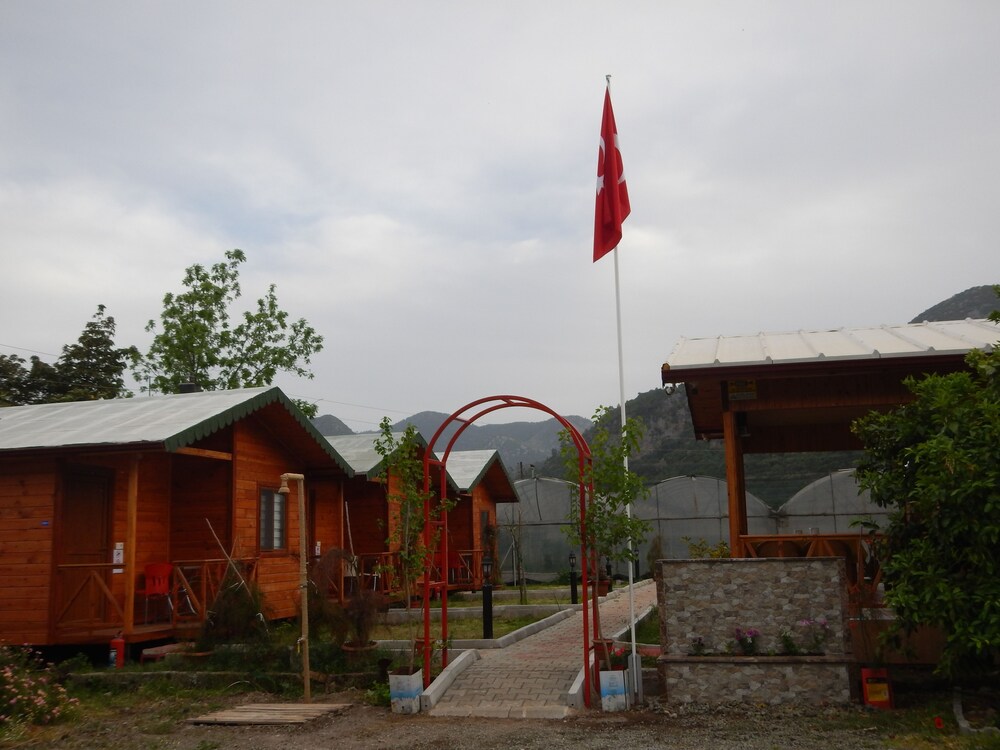Photo 21
