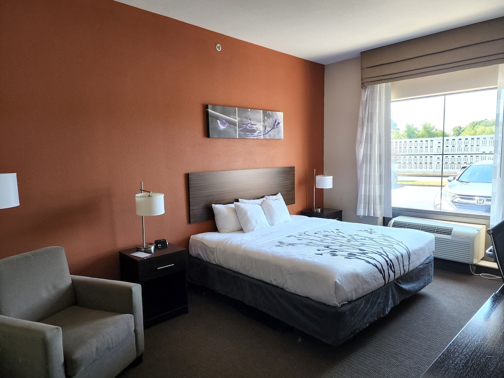 Dyersburg Vacations - Sleep Inn  Suites Dyersburg I-155 - Property Image 42