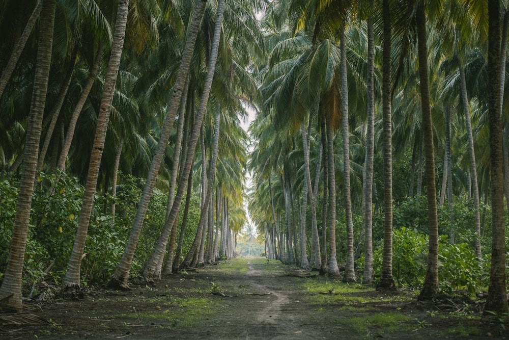Reveries Maldives