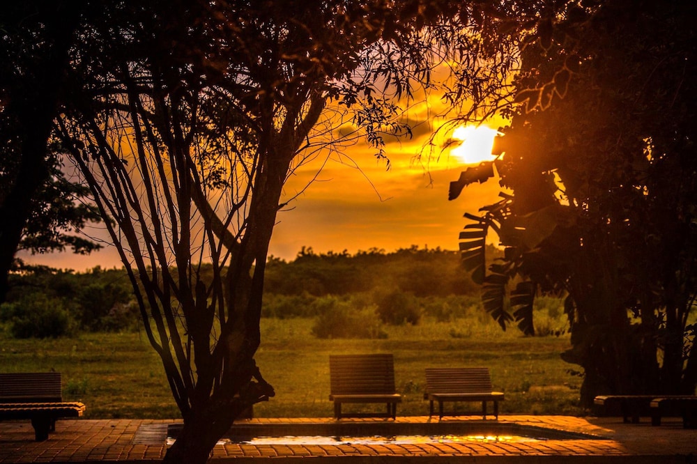 Honeyguide Ranger Camp