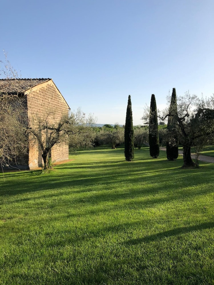 New Estate of Joy a Magnificent Historic Villa Near Rome on Glorious Ground Pool and Olives Galore