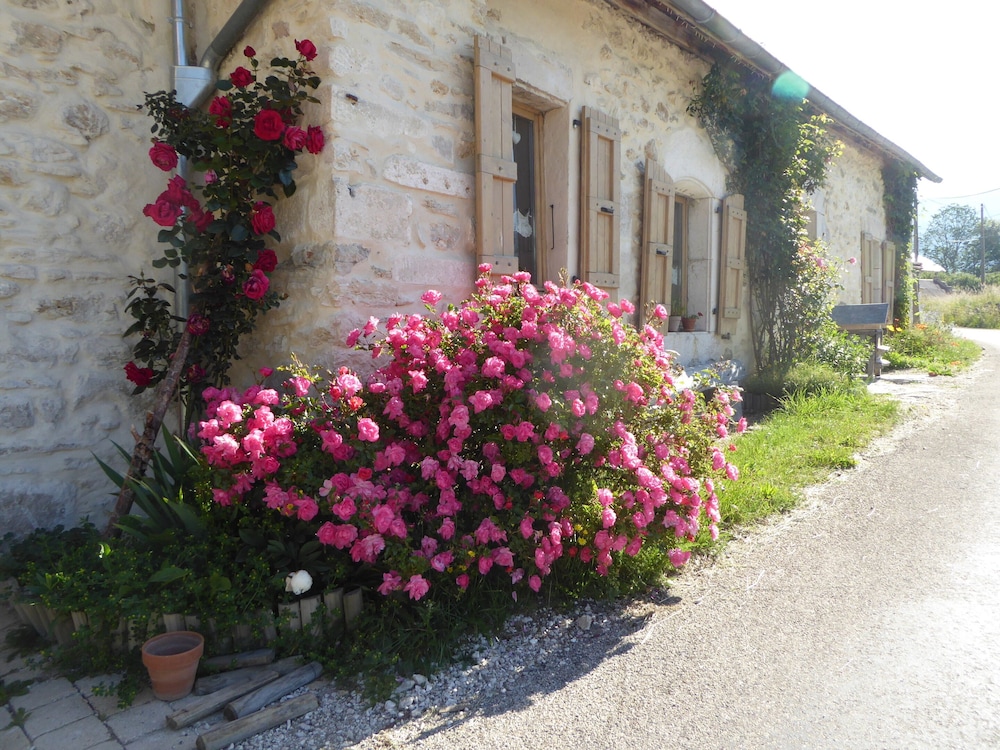 Photo 47