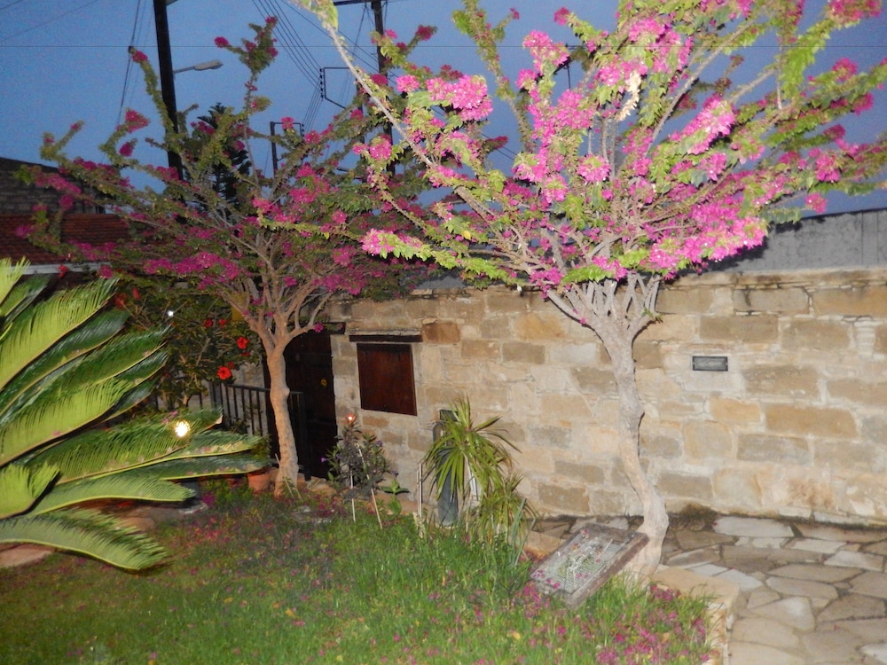 Photo 43