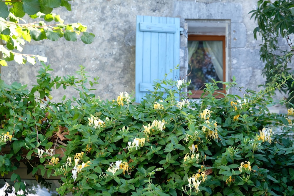 Chambre d'hôtes Les Lauriers Roses