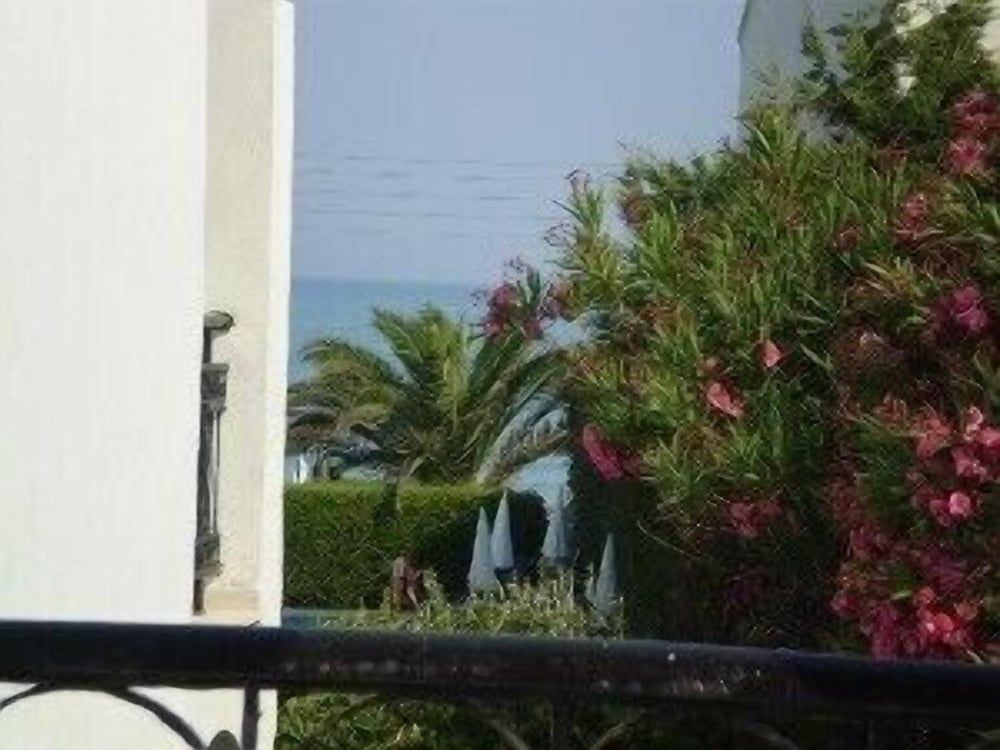 Photo 21