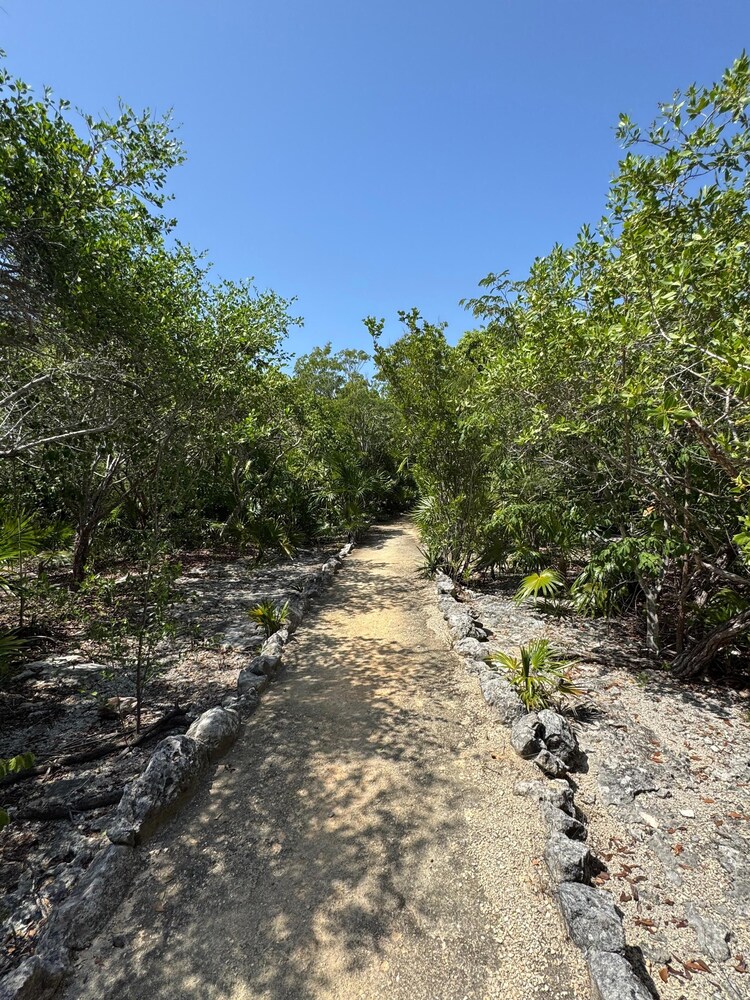 Villa Amable Lujo entre Selvas y Lagunas