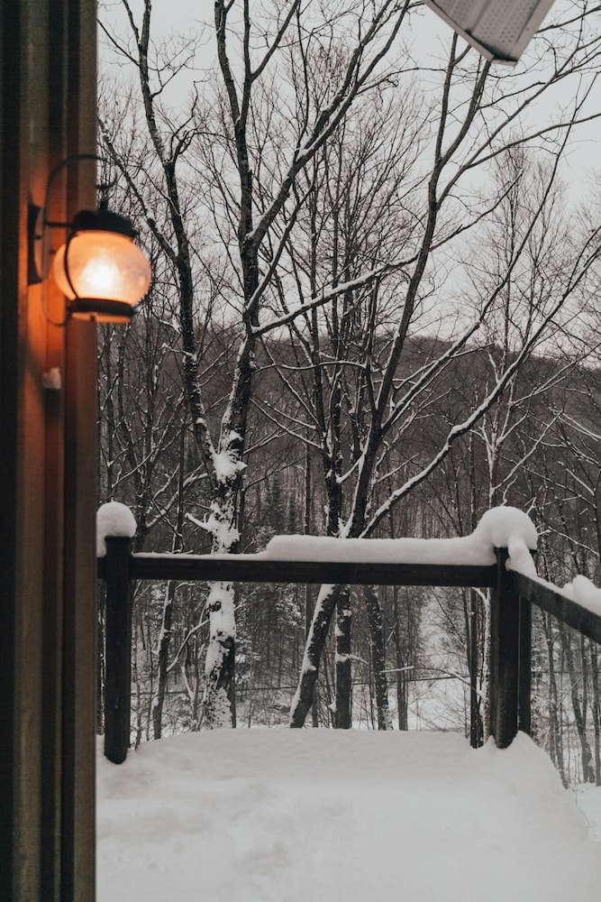 The Pika - Beautiful Mountain-top Cottage With 23 Acres of Private Land With Hiking