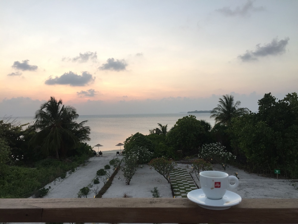Olive Goidhoo