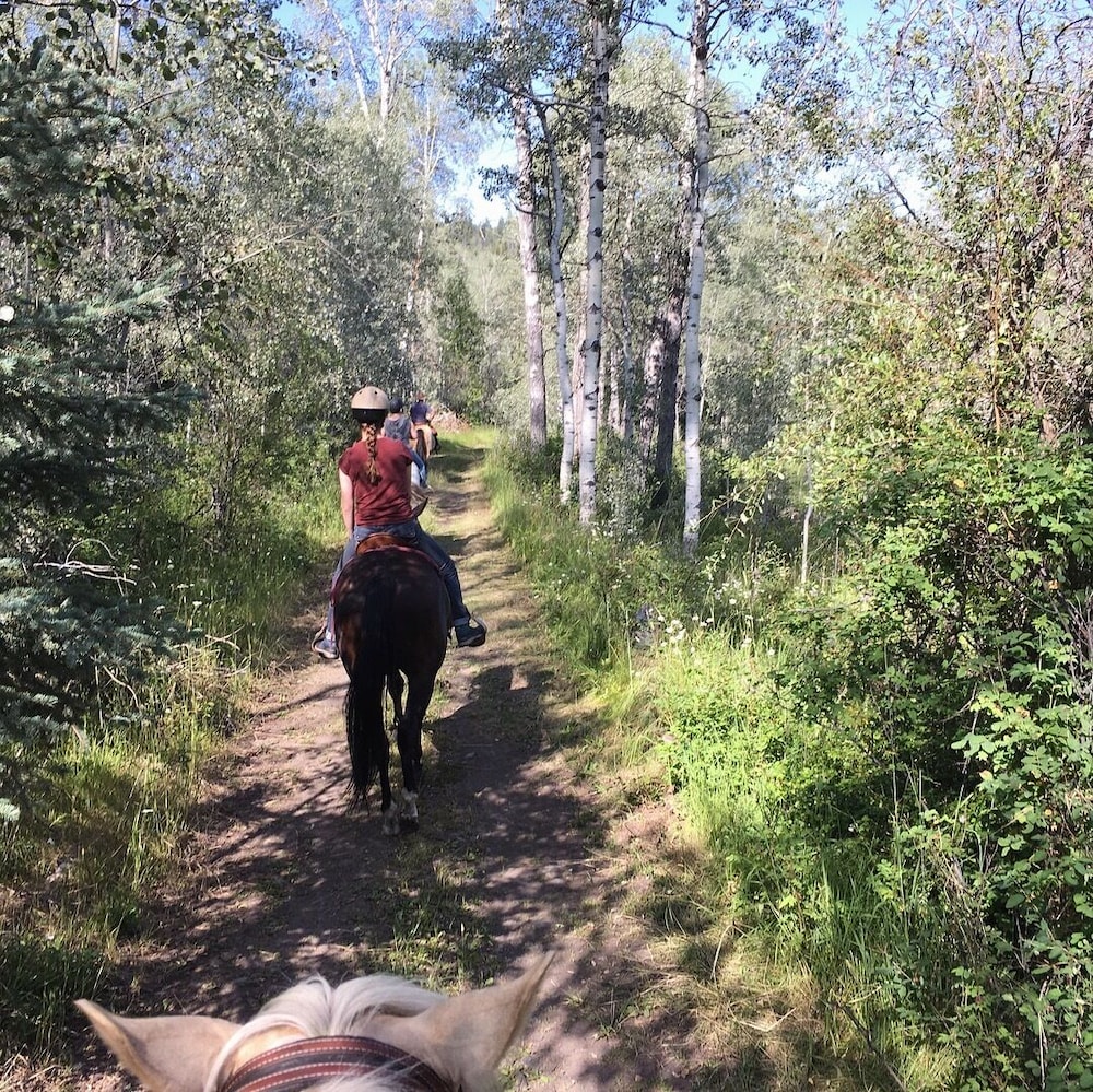 Montana Hill Guest Ranch