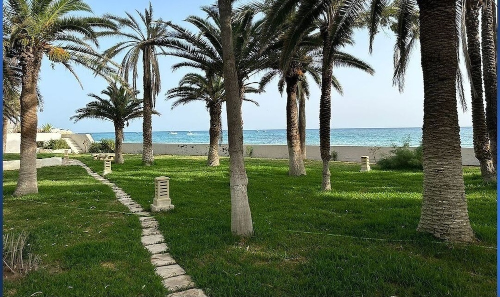 Photo 7