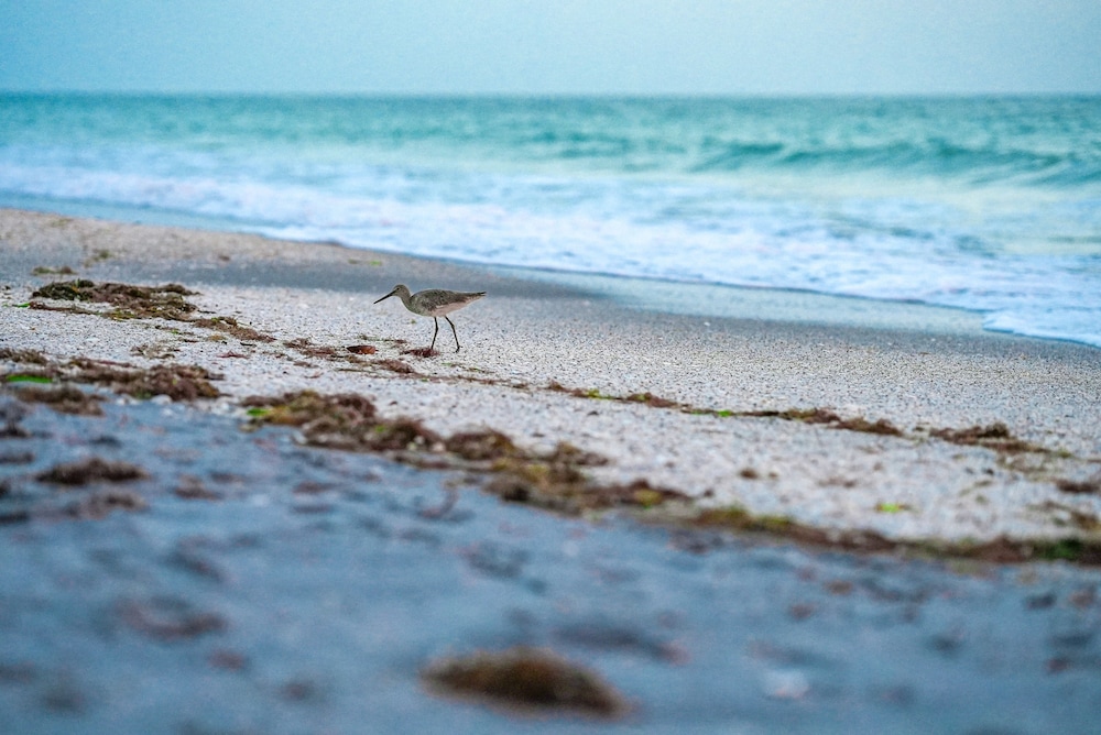 Manasota Key Resort
