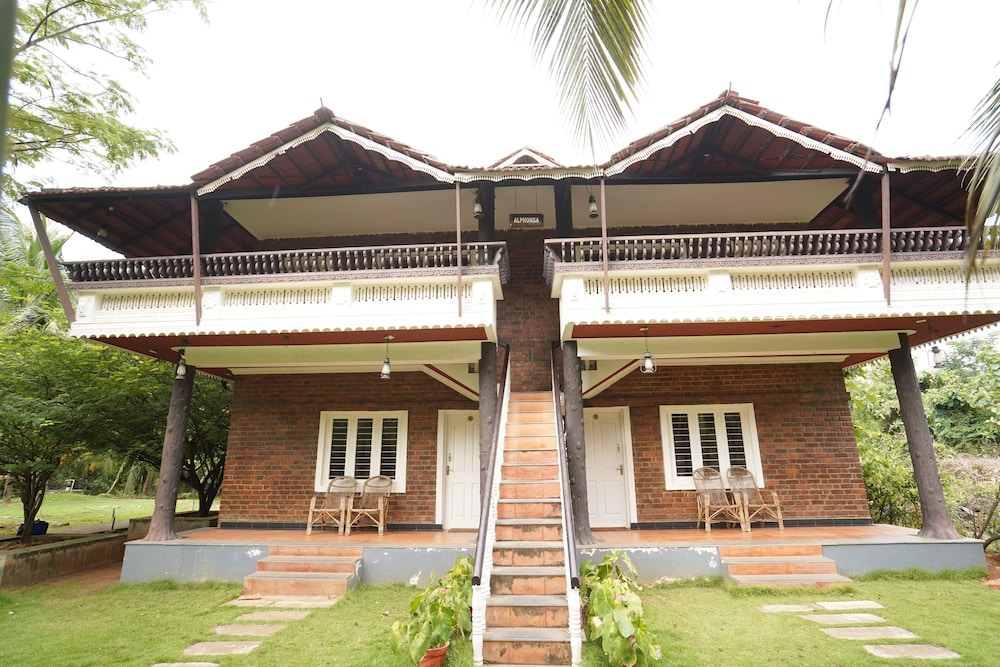 Mango Village