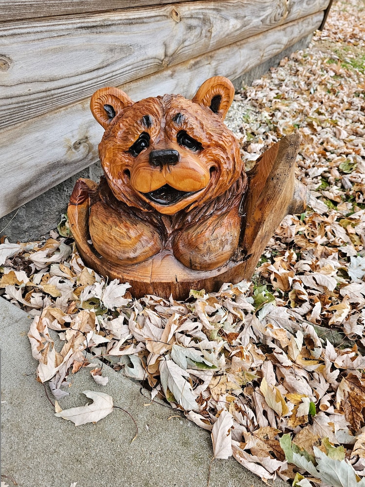 Honey Bear Haven Suite 3