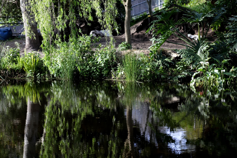 Waterland