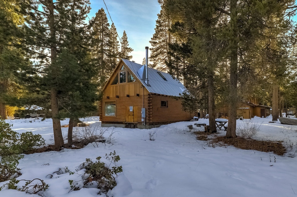 Augies Authentic Log Cabin! Pets Welcome! view 5