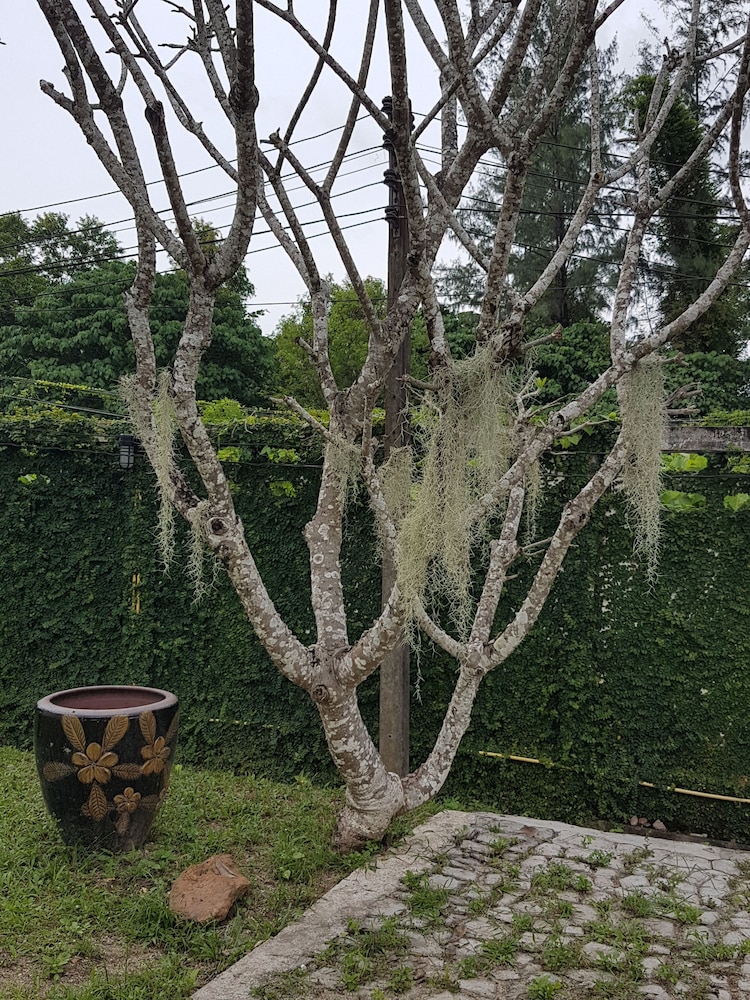 Baan Chai Lay Apartment