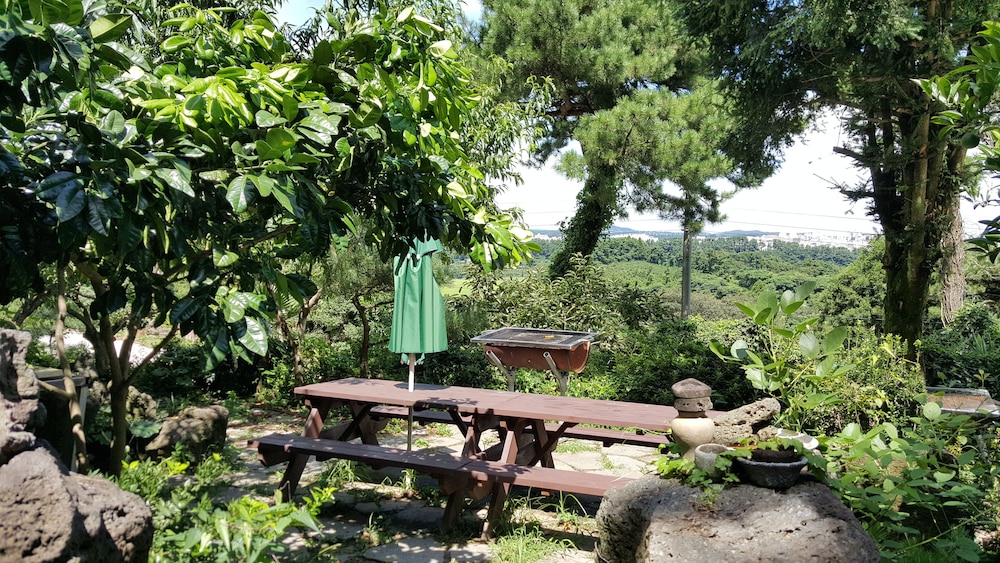 Dreaming Forest