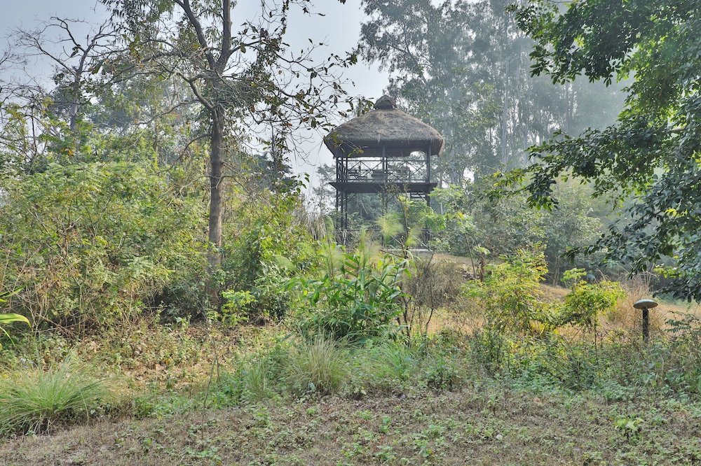 Jim's Jungle Retreat