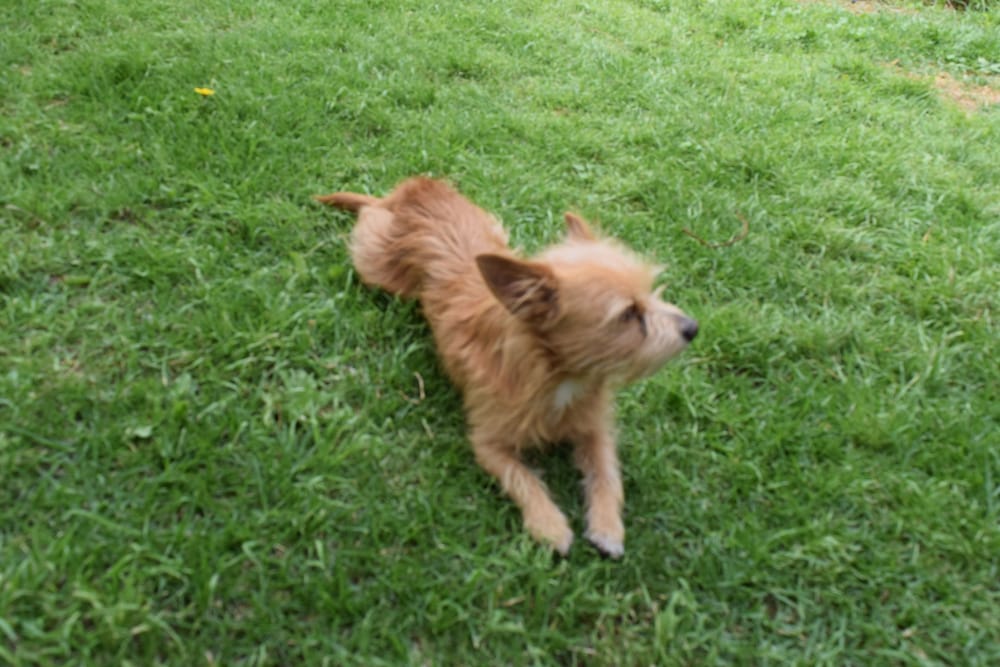 Photo 27