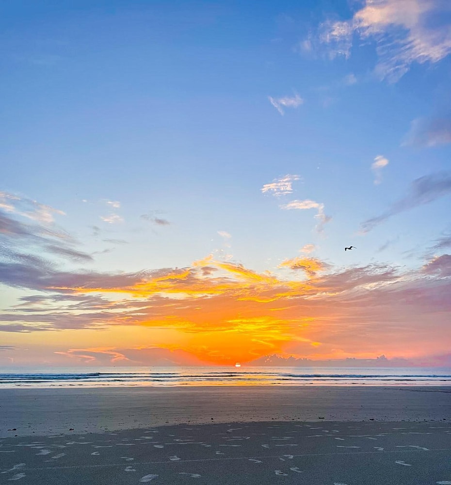 Oceanwalk 15-206