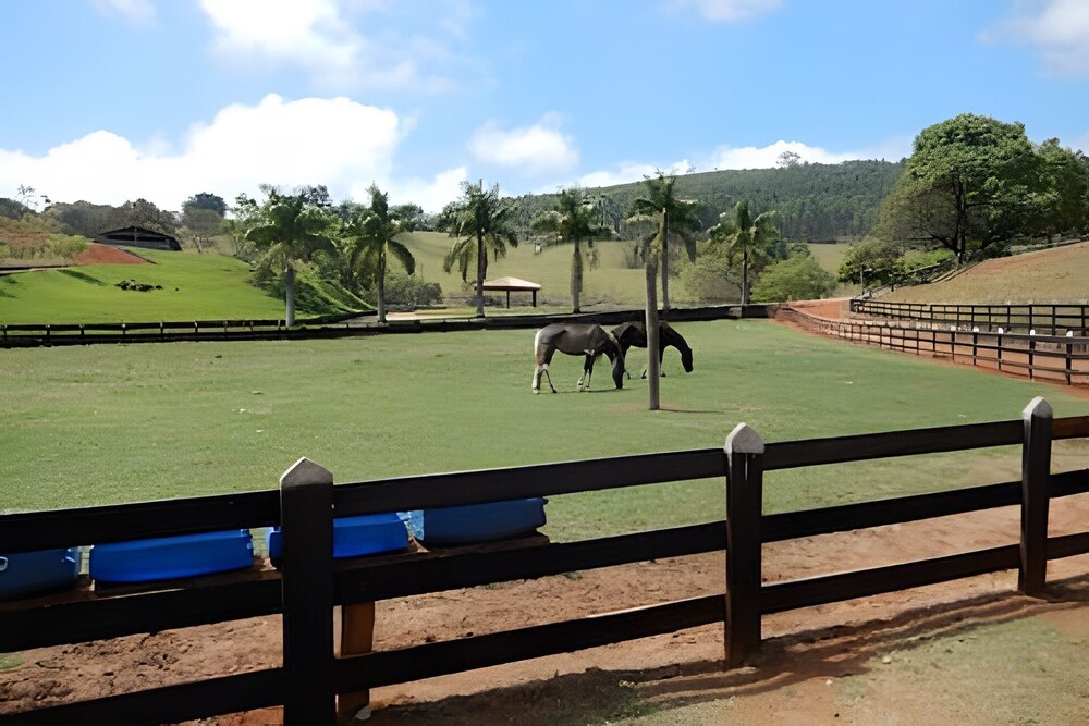 Fazenda Realeza