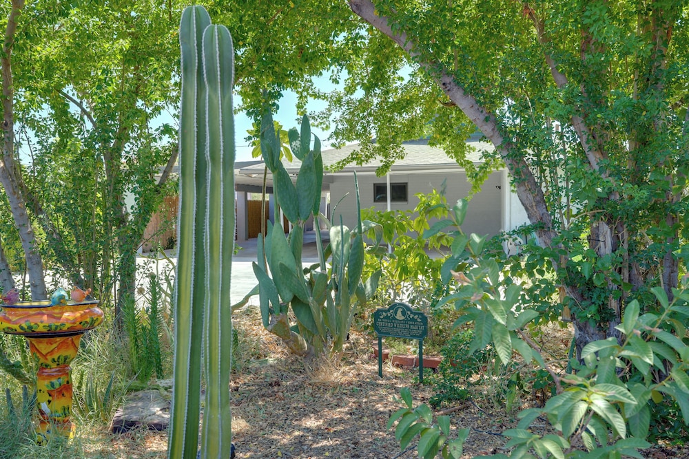 3 Mi to Dtwn Phoenix: Apt w/ Shared Patio