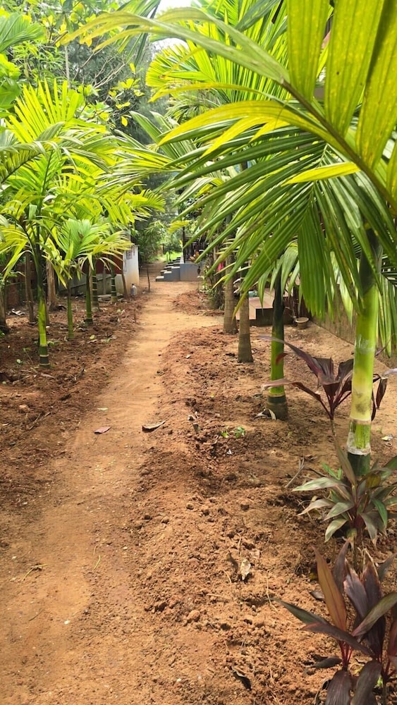 Omisha Beach Stay