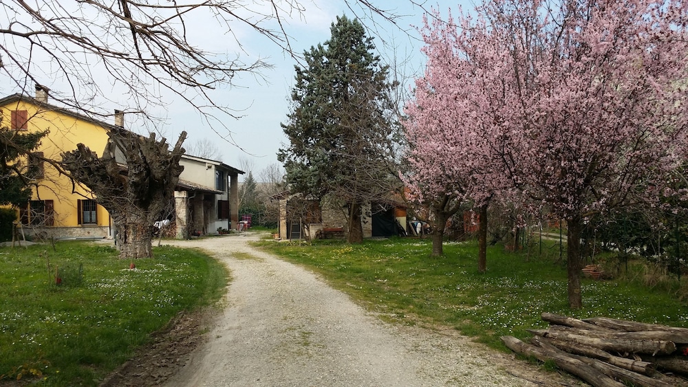 Photo 24