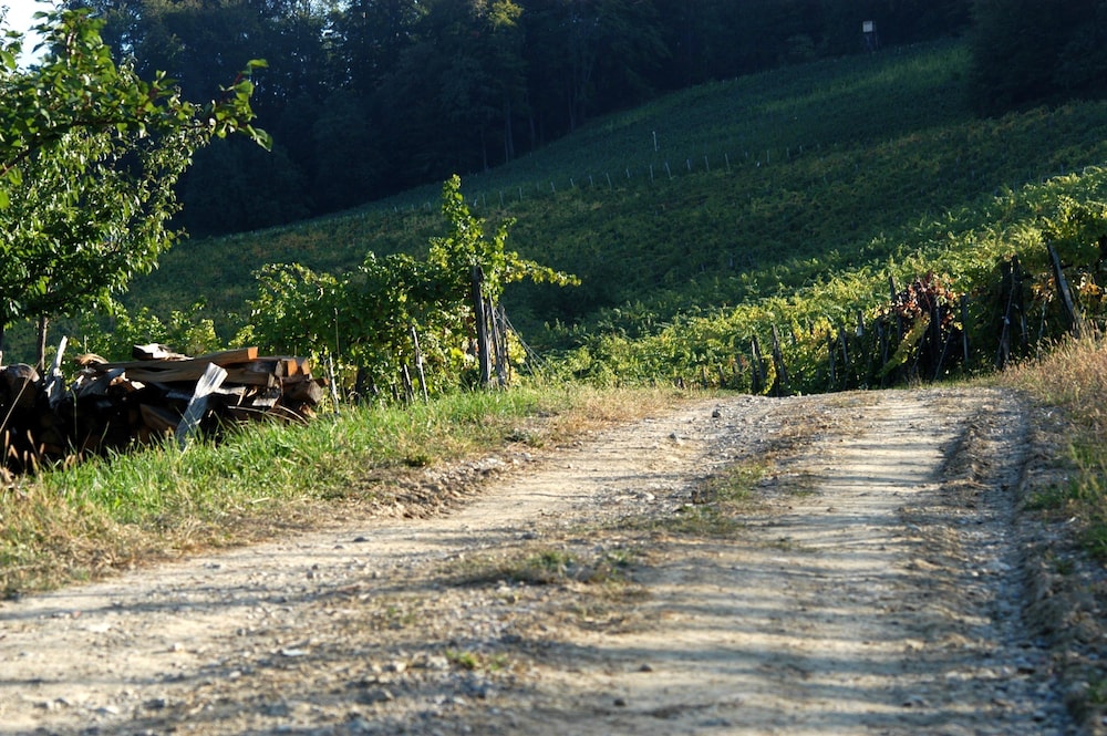 Weingut Primus - Südsteiermark
