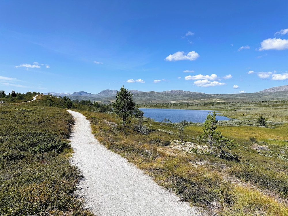 Modern Mountain Cabin - 3 Bedrooms - Sleeps 7