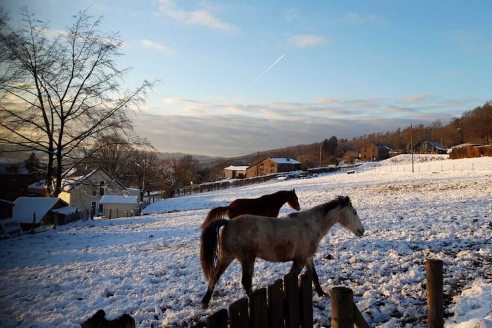 Charming Ardennes Getaway view 2