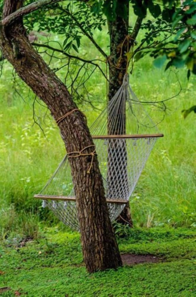 Jungle Hut Resorts