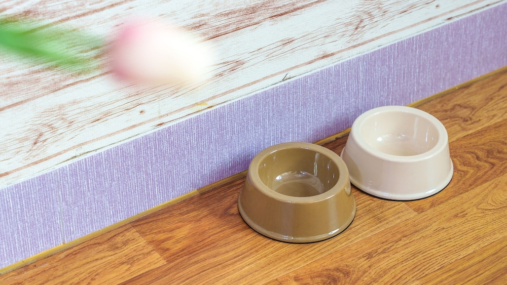 Taean Vintage House Pet-friendly Pension