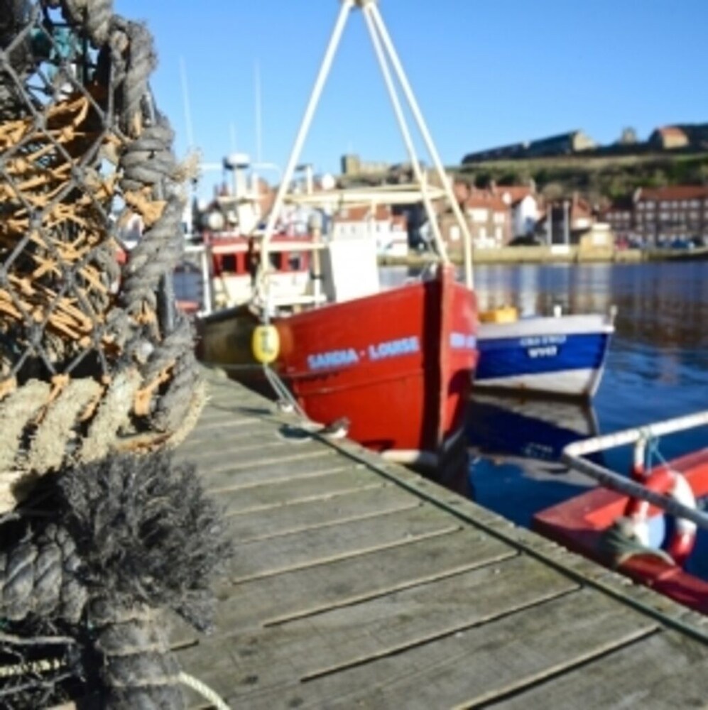Photo 45