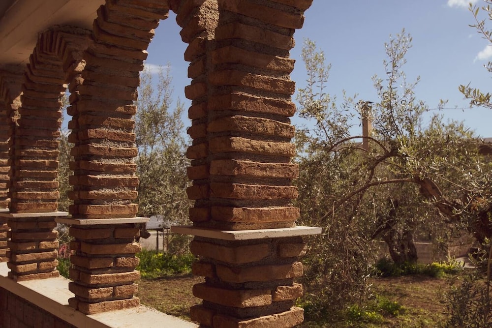 Yuccas Home - at Kato Pitsa Xylokastro n 1