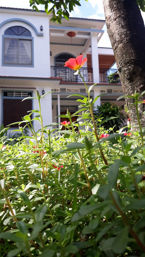Photo 40