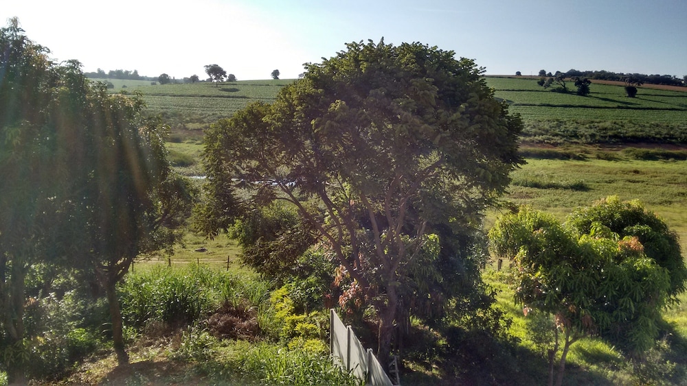 Em Plena Natureza