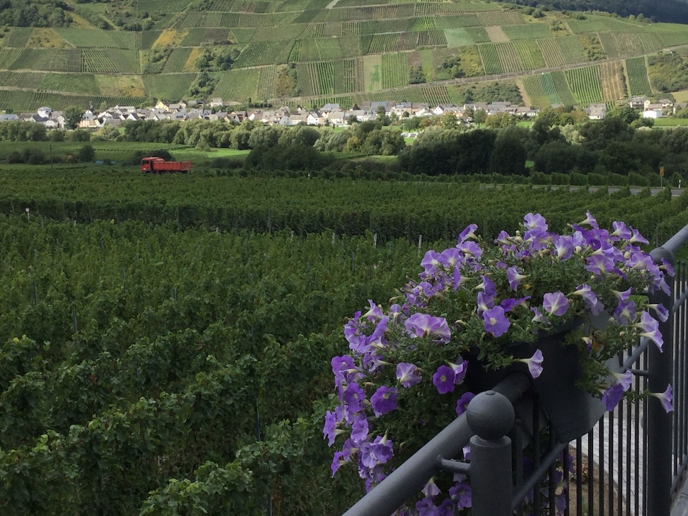 Weingut Pension Bastian