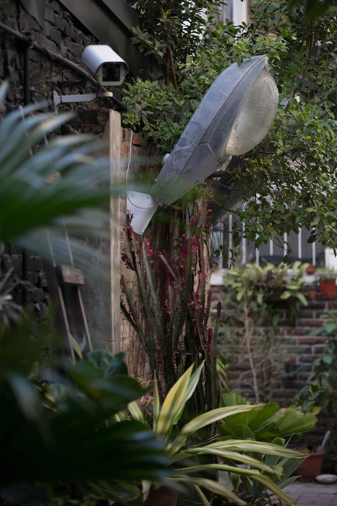 Birdeye Garden