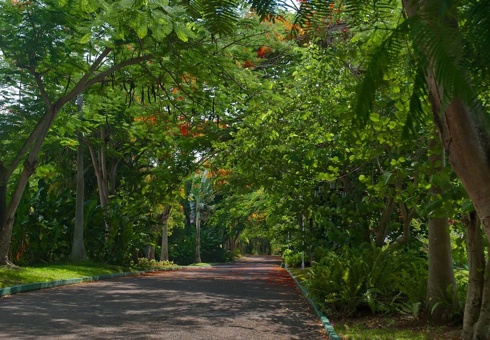 Jamaica Vacations - Sandals Ochi - ALL INCLUSIVE Couples Only - Property Image 102