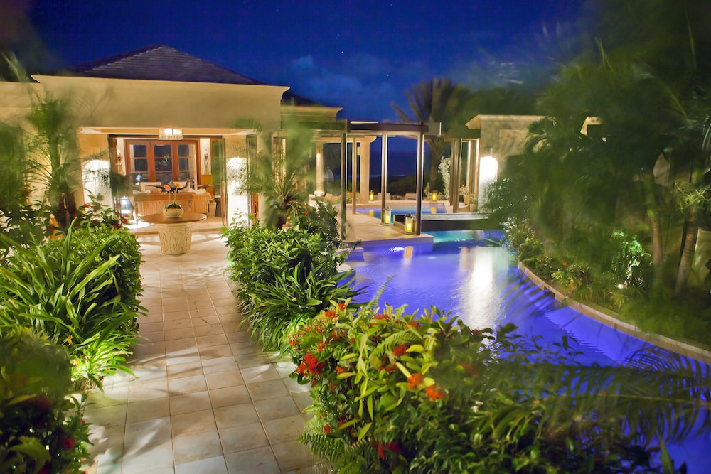 Anguilla's Bird of Paradise