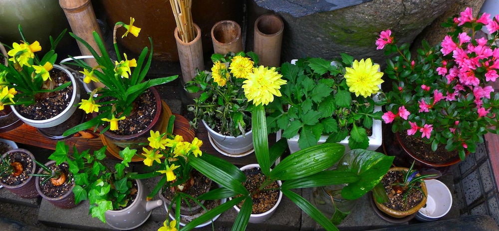 HanOK Guest House 201