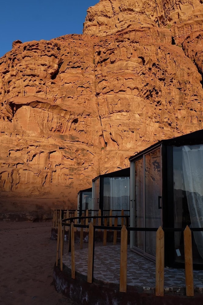 Desert tree camp