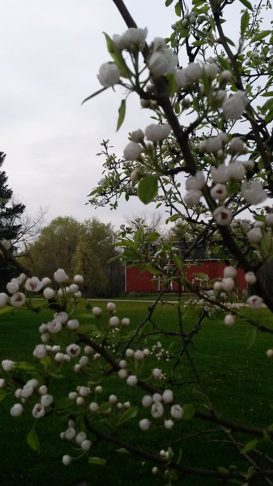 Photo 23