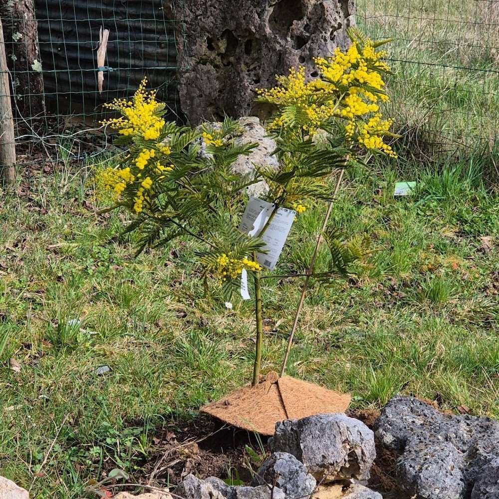 Au petit bonheur